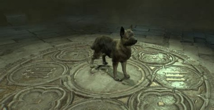Diablo 3 how to use pets