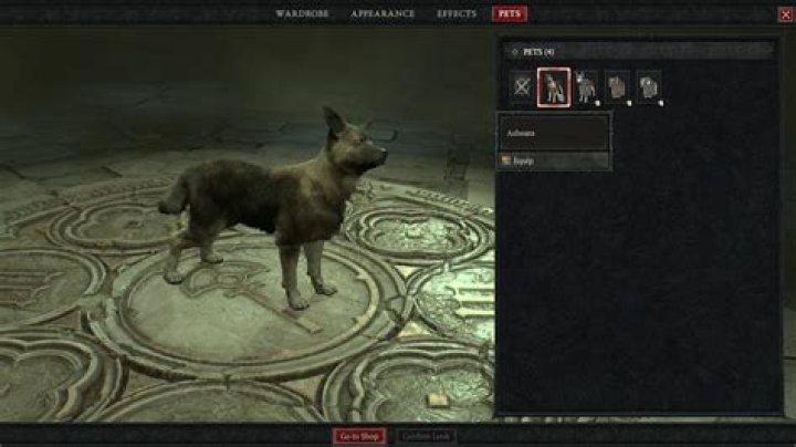 Diablo 3 pets how to use