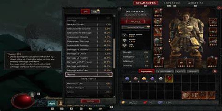 Diablo 3 what is thorn damage