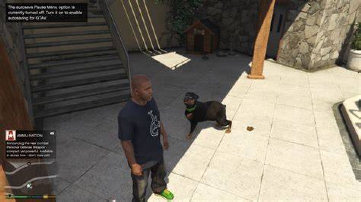 Gta 5 how to call chop