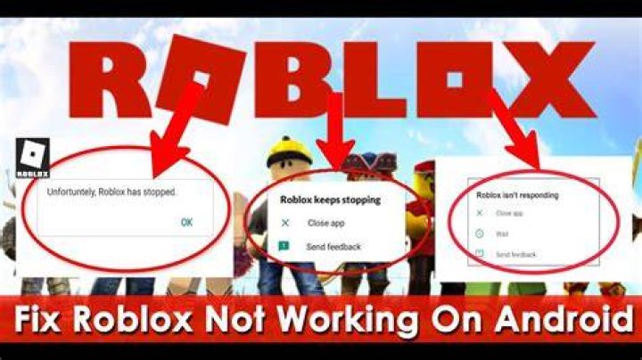 Hey google why is roblox not working