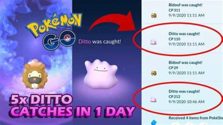 How can i catch a ditto in pokemon go 2021