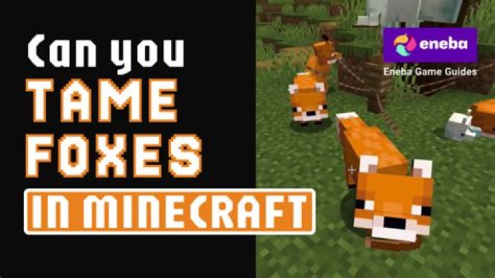 How can you tame a fox in minecraft