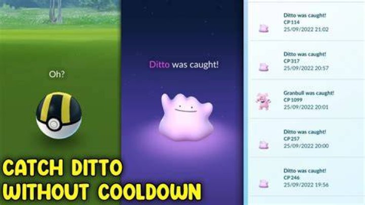 How do i find a ditto in pokemon go