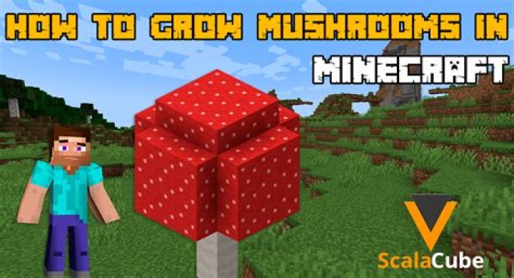 How do i plant a mushroom in minecraft