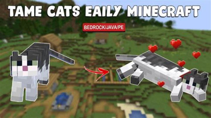 How do i tame a cat in minecraft