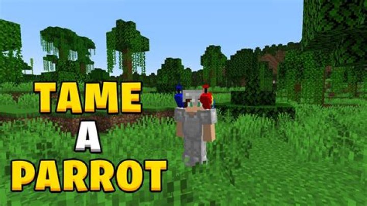 How do i tame a parrot in minecraft