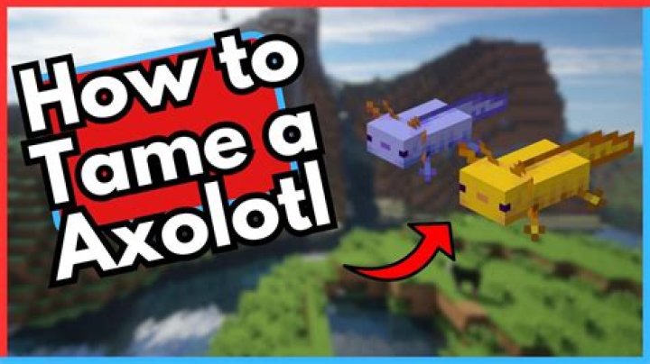 How do i tame an axolotl in minecraft