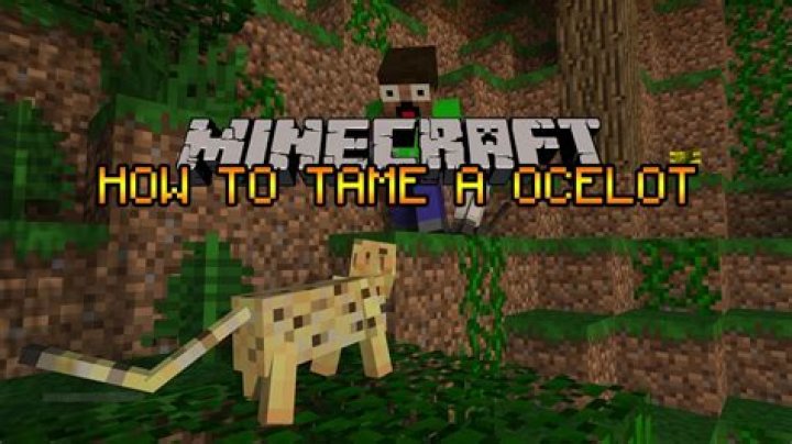 How do i tame an ocelot in minecraft