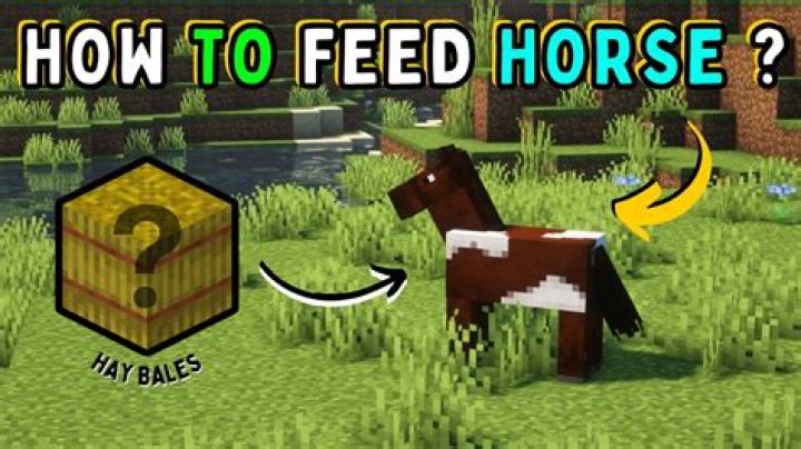 How do u feed a horse in minecraft