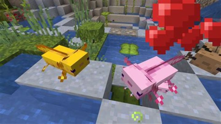 How do you breed an axolotl in minecraft