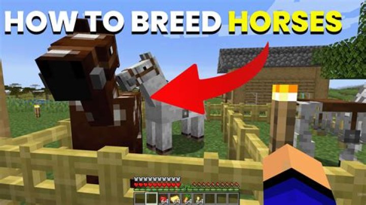 How do you breed horses in minecraft pe