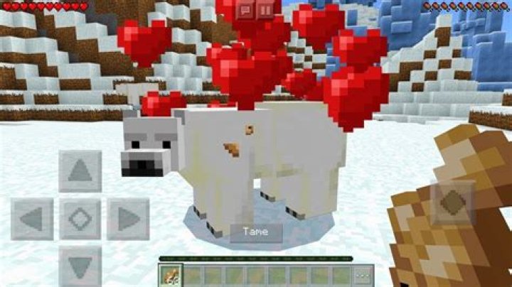 How do you breed polar bears in minecraft