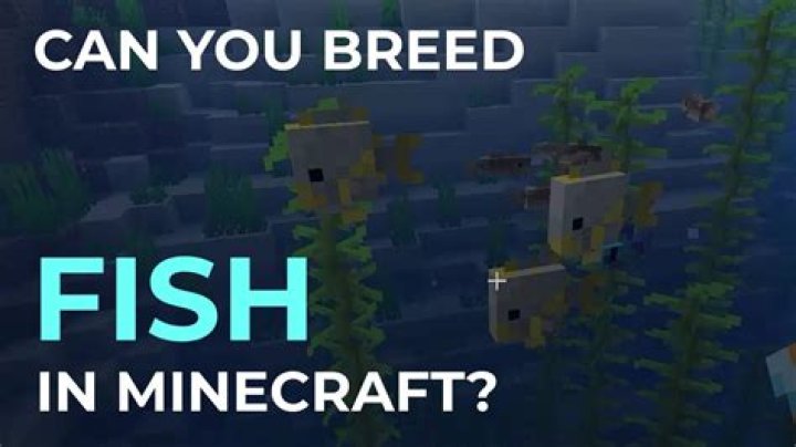 How do you breed tropical fish in minecraft