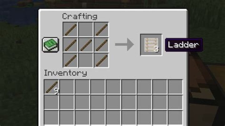 How do you build a ladder in minecraft