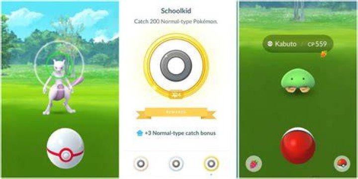 How do you catch pokemon in pokemon go