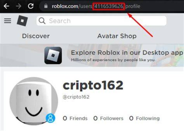 How do you find out your player id on roblox