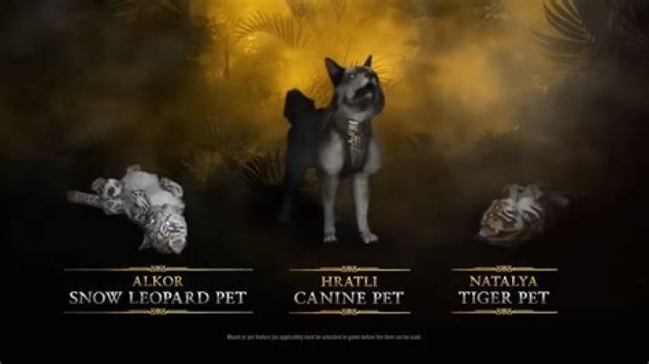 How do you get a pet in diablo 3