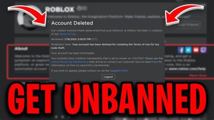 How do you get banned on roblox