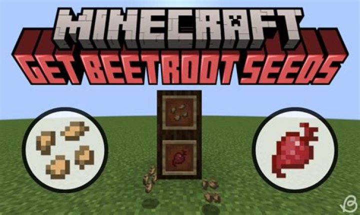 How do you get beetroot seeds in minecraft