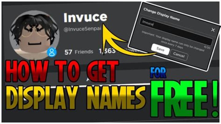 How do you get display names in roblox