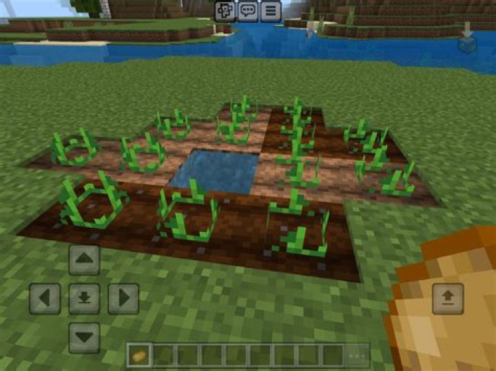 How do you get potato seeds in minecraft
