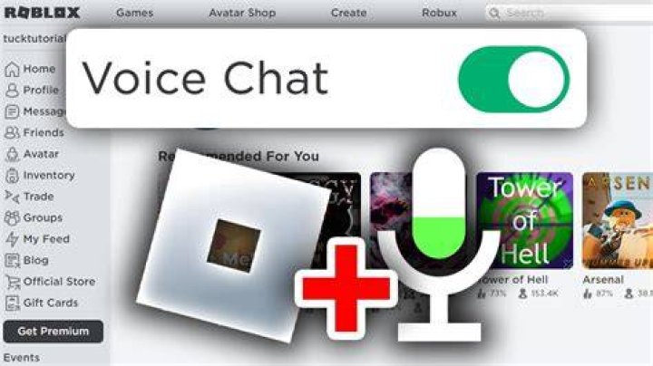 How do you get roblox voice chat