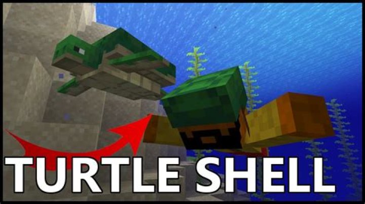 How do you get turtle shells in minecraft