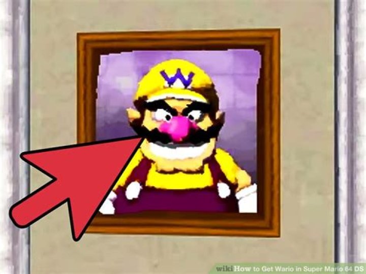 How do you get wario in super mario 64 ds