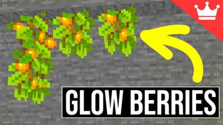 How do you grow glow berries in minecraft