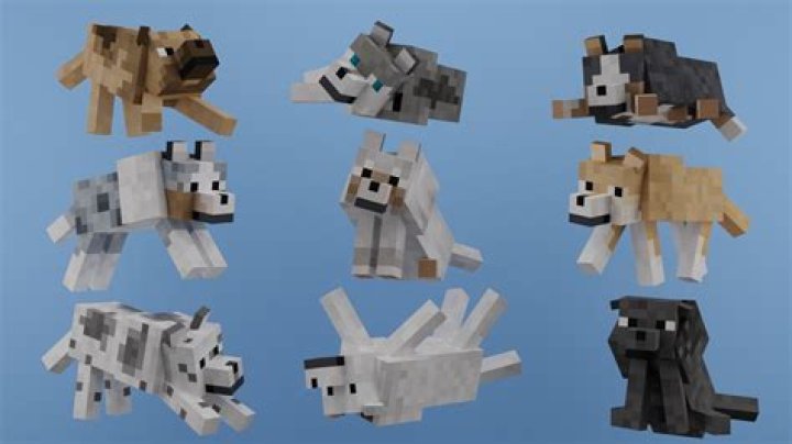 How do you make a dog in minecraft