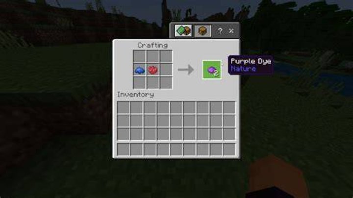 How do you make purple dye in minecraft