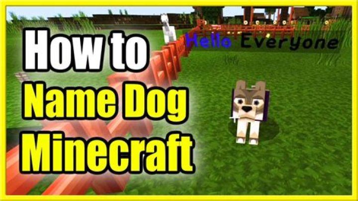 How do you name a dog in minecraft
