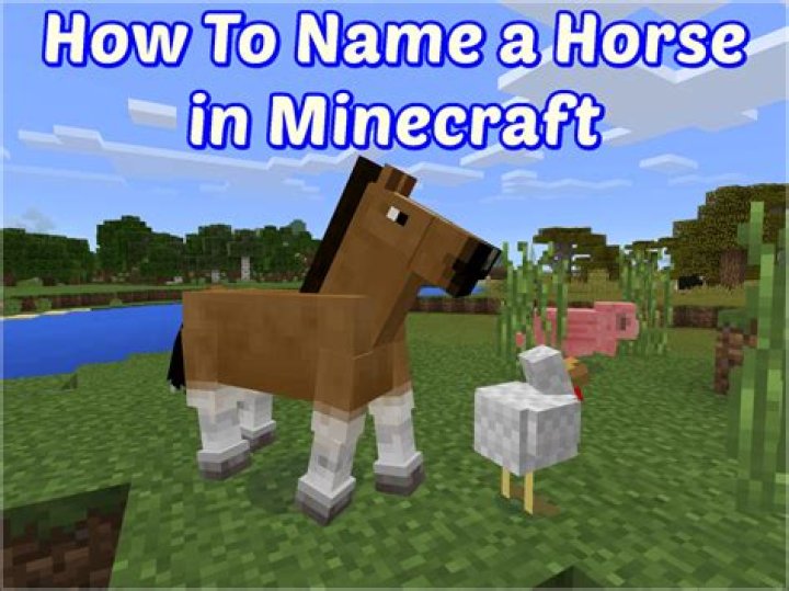 How do you name a horse in minecraft
