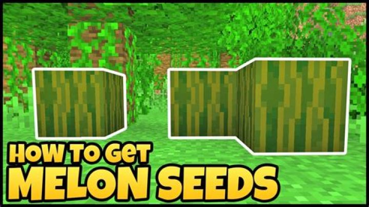How do you plant melon seeds in minecraft