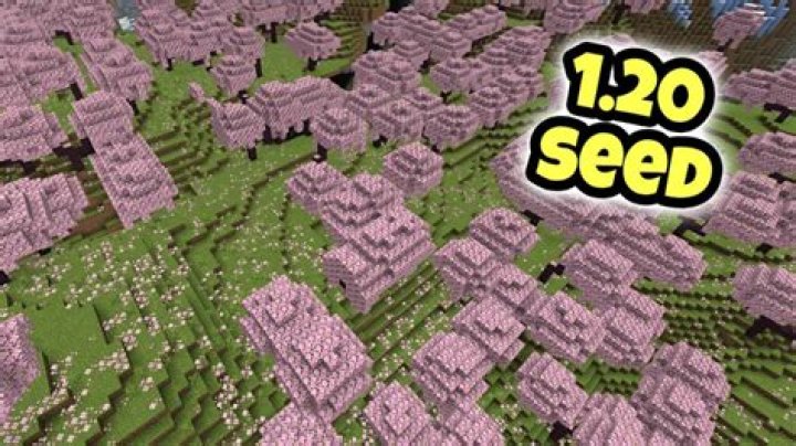 How do you plant seeds in minecraft pe