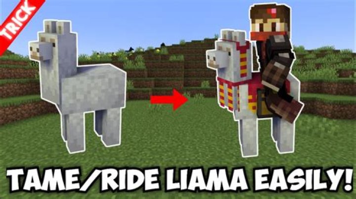 How do you steer a llama in minecraft