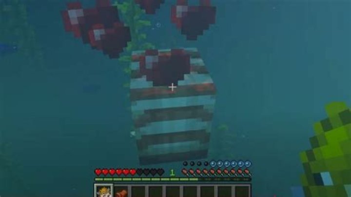How do you tame a bird in minecraft