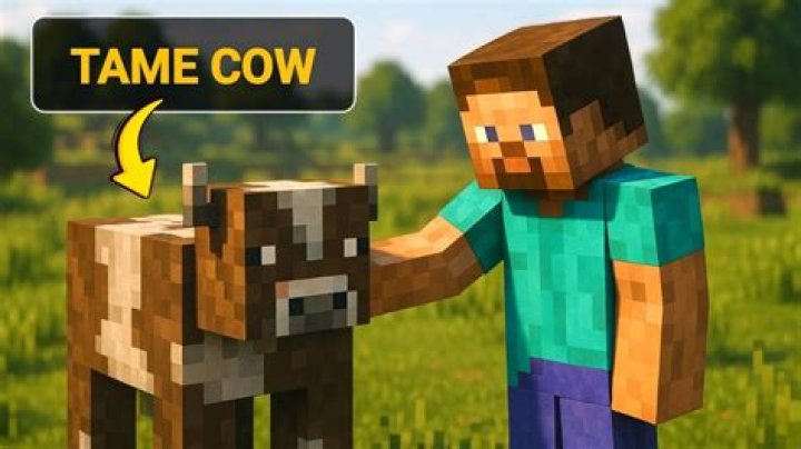 How do you tame a cow in minecraft