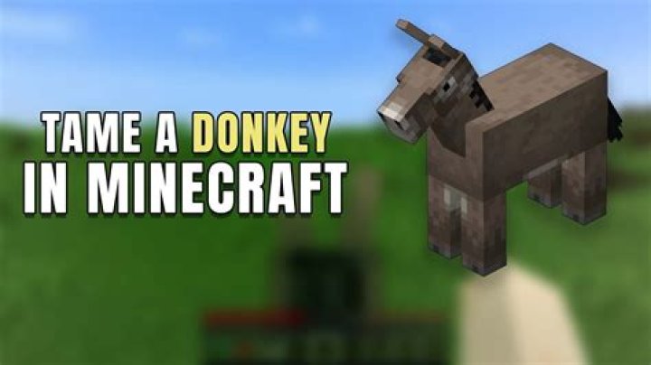 How do you tame a donkey in minecraft