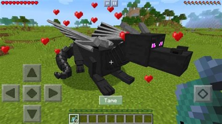 How do you tame a dragon in minecraft
