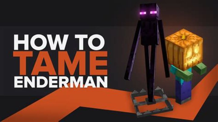 How do you tame a enderman in minecraft