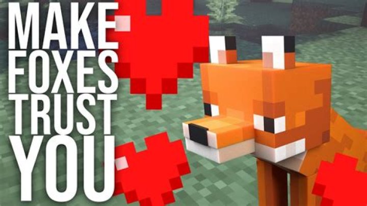 How do you tame a fox on minecraft