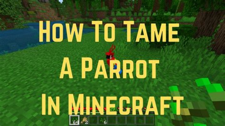 How do you tame a parrot in minecraft