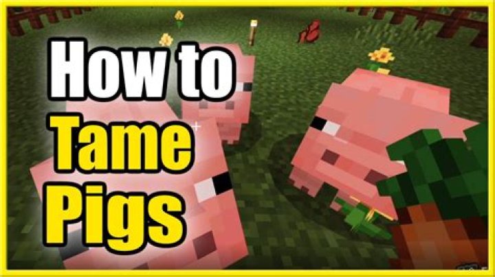 How do you tame a pig in minecraft