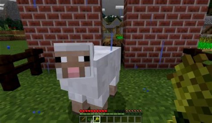 How do you tame a sheep in minecraft