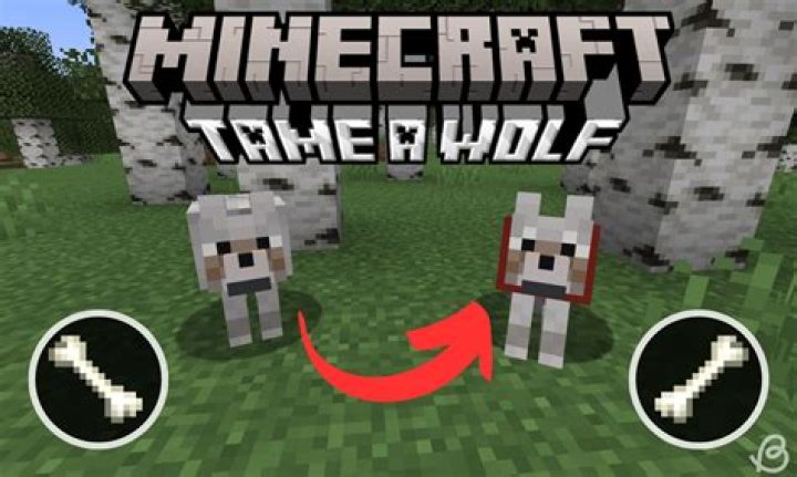 How do you tame a wolf on minecraft
