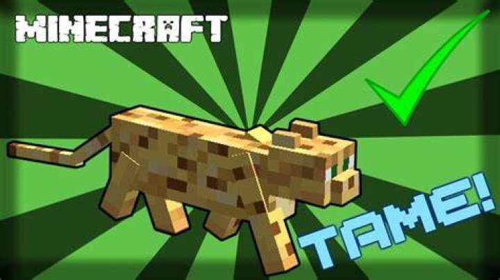 How do you tame an ocelot in minecraft