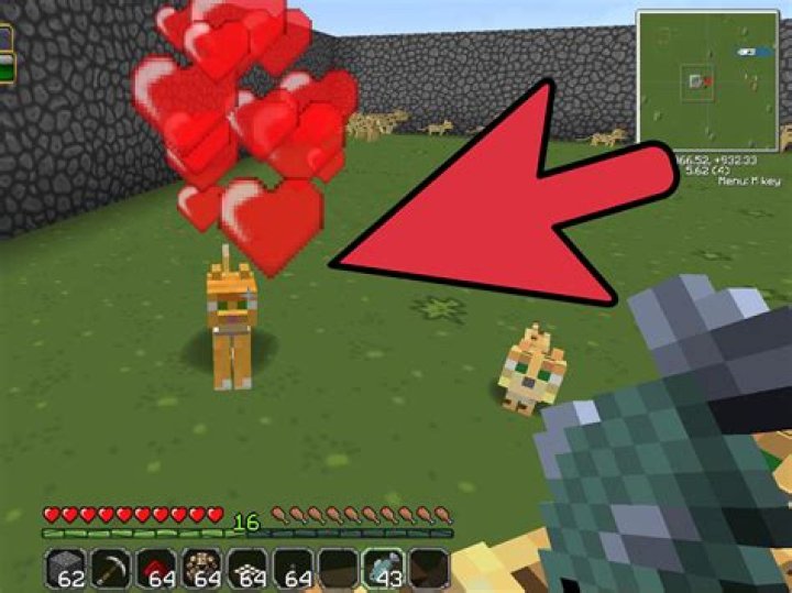 How do you tame an ocelot on minecraft