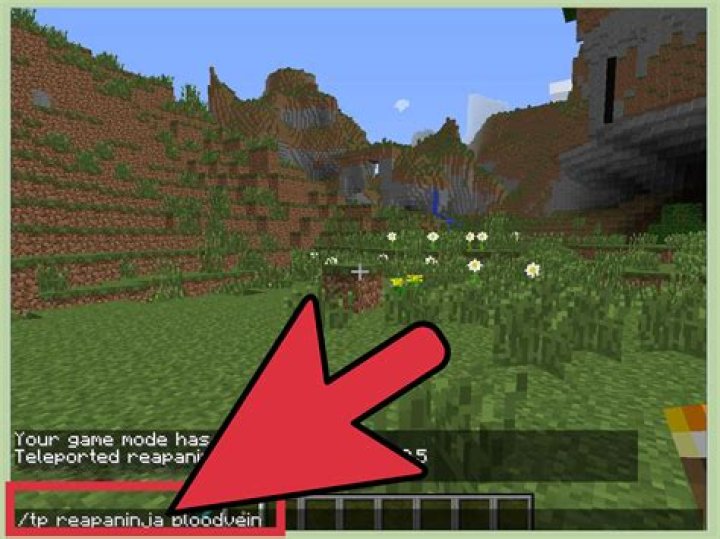 How do you tp to someone in minecraft
